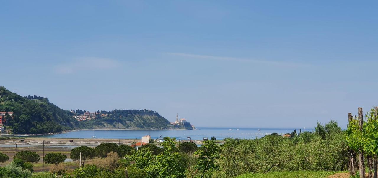 Apartma Nana Strunjan Portorož Exteriör bild